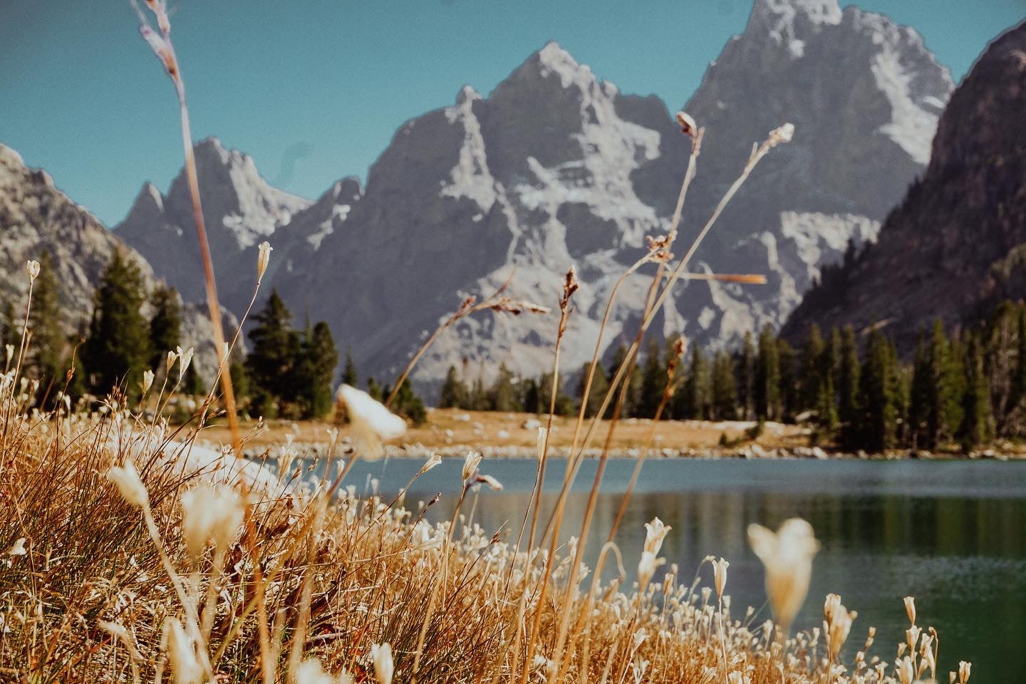 How To Practice Slow Living This Spring